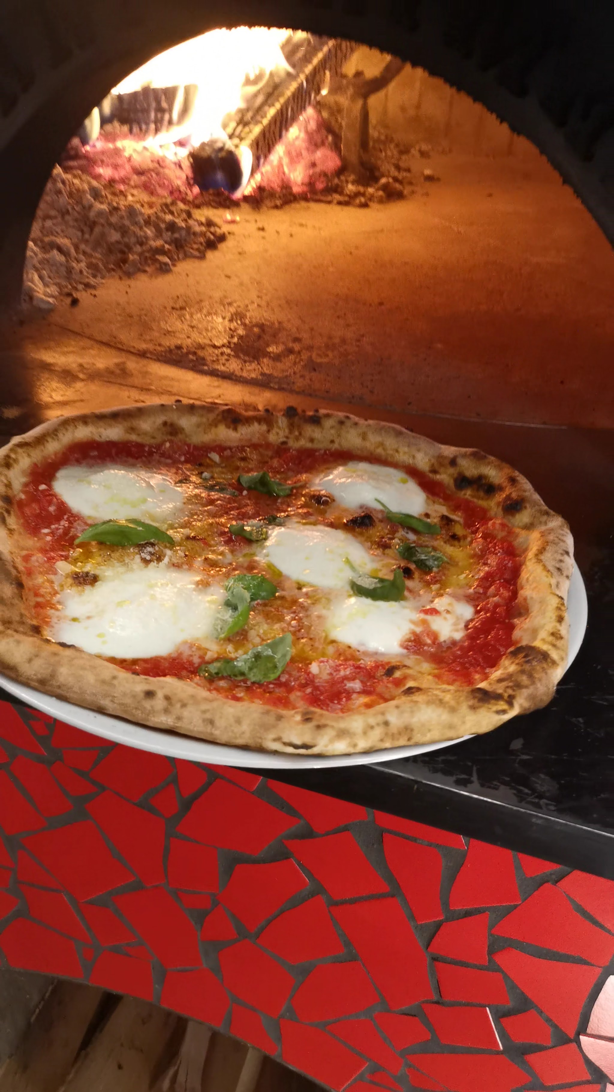 Margherita direkt aus dem Holzofen, rotes Mosaik im Hintergrund